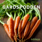 Gårdspodden
